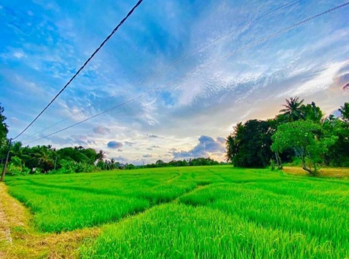 Arani Homestay Polonnaruwa Luaran gambar