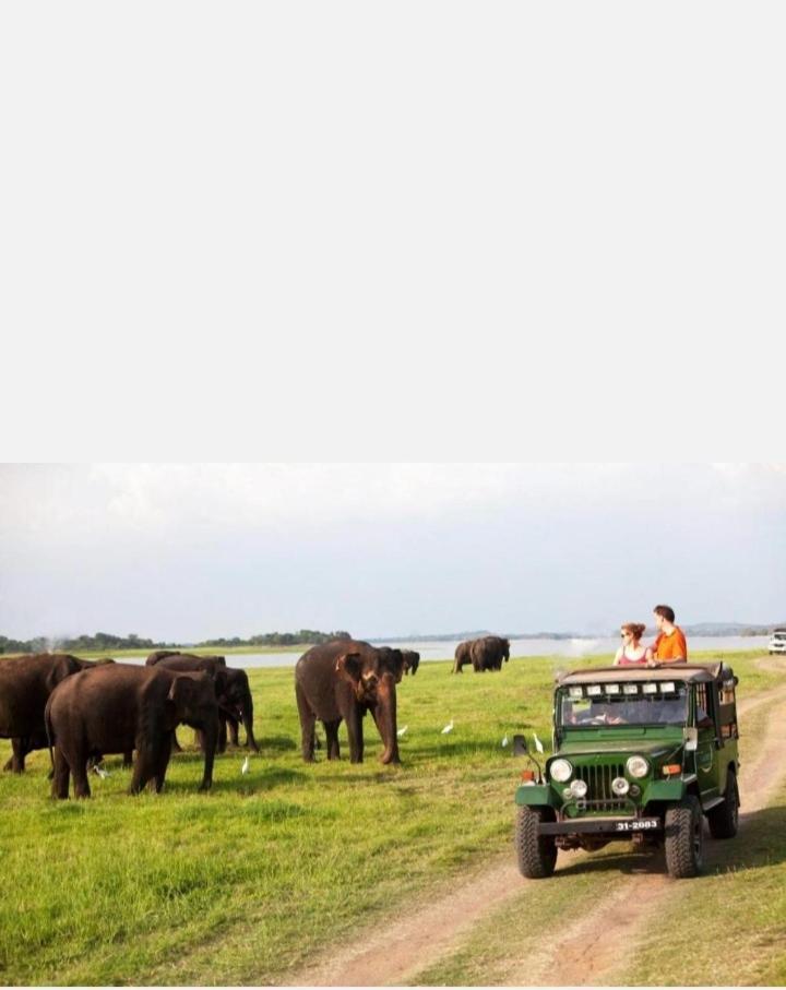 Arani Homestay Polonnaruwa Luaran gambar